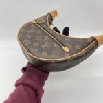 Louis Vuitton Loop Hobo PM Monogram GHW