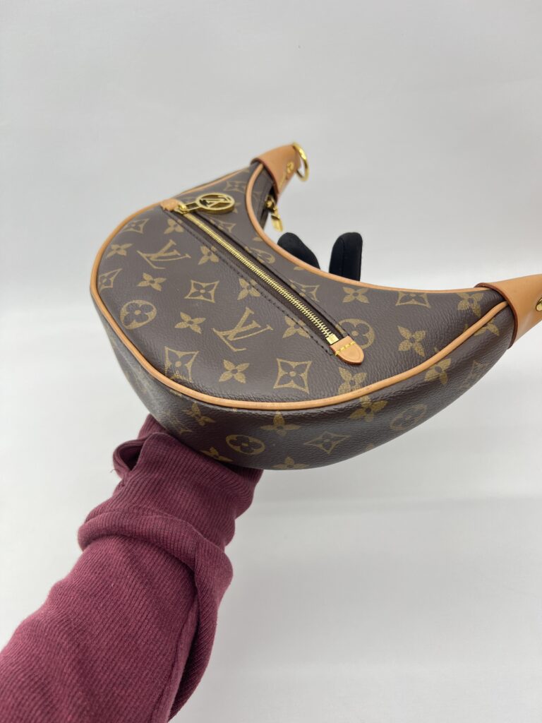 Louis Vuitton Loop Hobo PM Monogram GHW