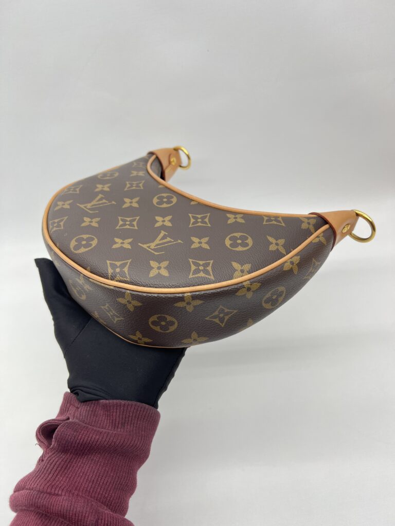 Louis Vuitton Loop Hobo PM Monogram GHW