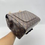 Louis Vuitton Cluny MM Monogram GHW