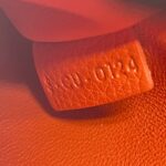 CELINE Trapeze Small Vermillon SHW