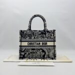 Dior Small Book Tote Canvas Toile De jouy Blue
