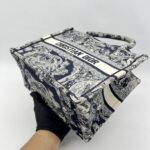 Dior Small Book Tote Canvas Toile De jouy Blue