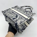 Dior Small Book Tote Canvas Toile De jouy Blue