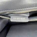 Dior Diorama Medium Metallic Silver SHW