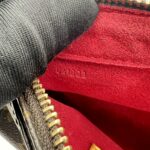 Louis Vuitton Viva Cite PM Monogram