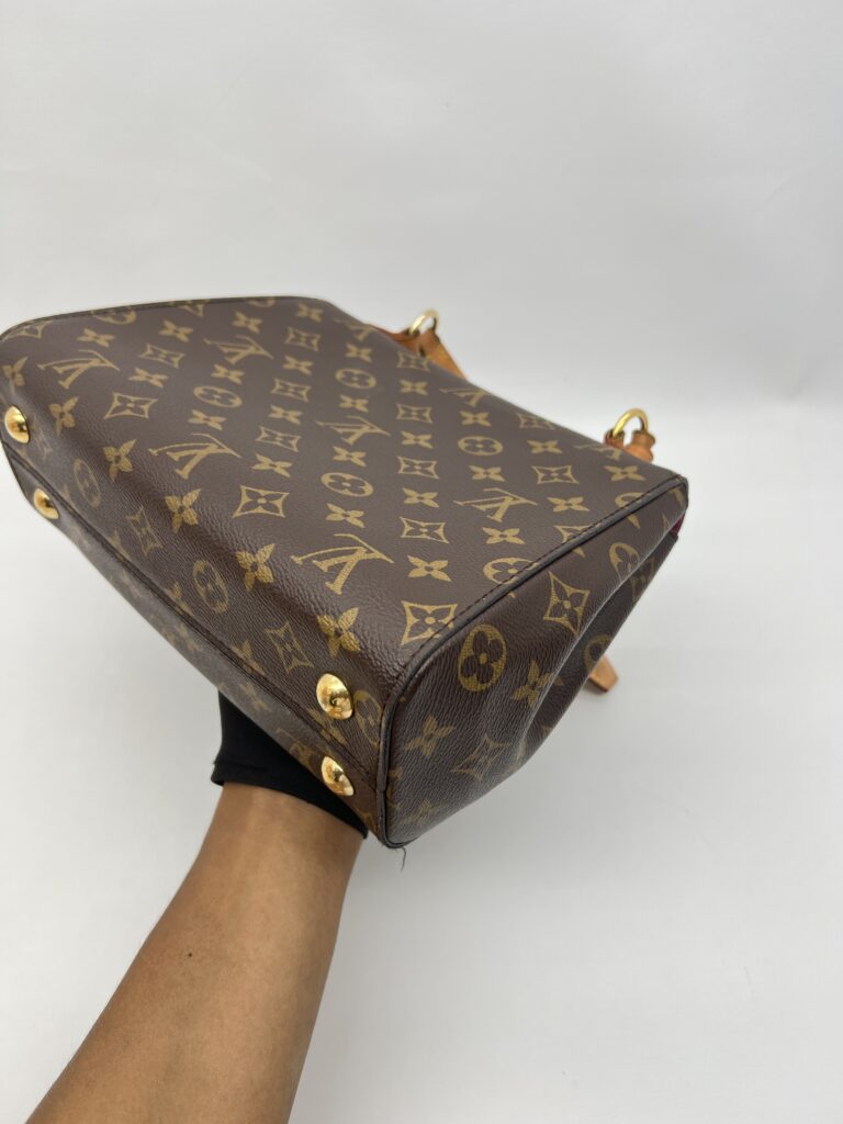 Louis Vuitton Cluny BB Monogram Bordeaux Fuschia GHW