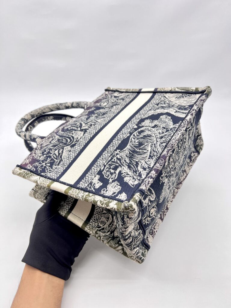 Dior Small Book Tote Canvas Toile De Jouy