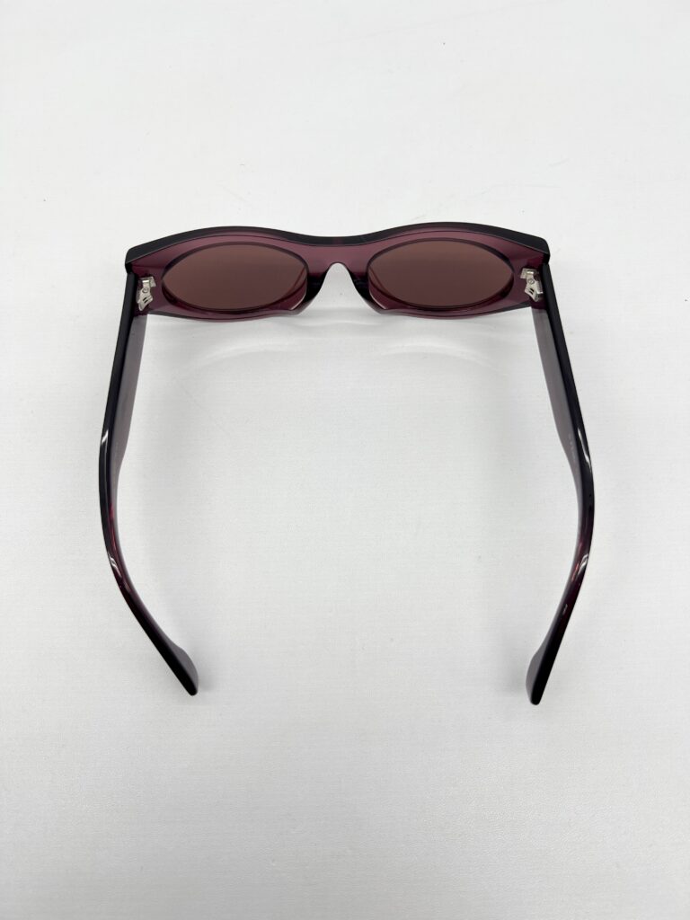 Fendi Sunglasses FE40125F Bordeaux