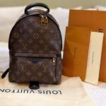 Louis Vuitton Palm Spring PM Monogram