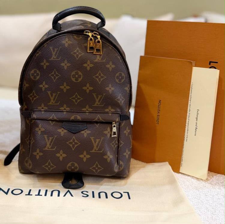 Louis Vuitton Palm Spring PM Monogram