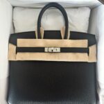 Hermes Birkin 25 Black Togo PHW