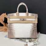 Hermes Birkin 25 Hima Blanc PHW
