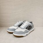 Dior B27 uptown Low-Top Sneaker Grey/White/Blue Oblique