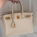 Hermes Birkin Nata Clemence GHW