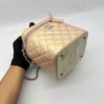 Chanel Vanity Case Iridescent Calfskin Pink Small SHW