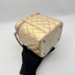 Chanel Vanity Case Iridescent Calfskin Pink Small SHW