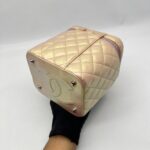 Chanel Vanity Case Iridescent Calfskin Pink Small SHW
