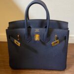 Hermes Birkin 25 Nuit Togo GHW